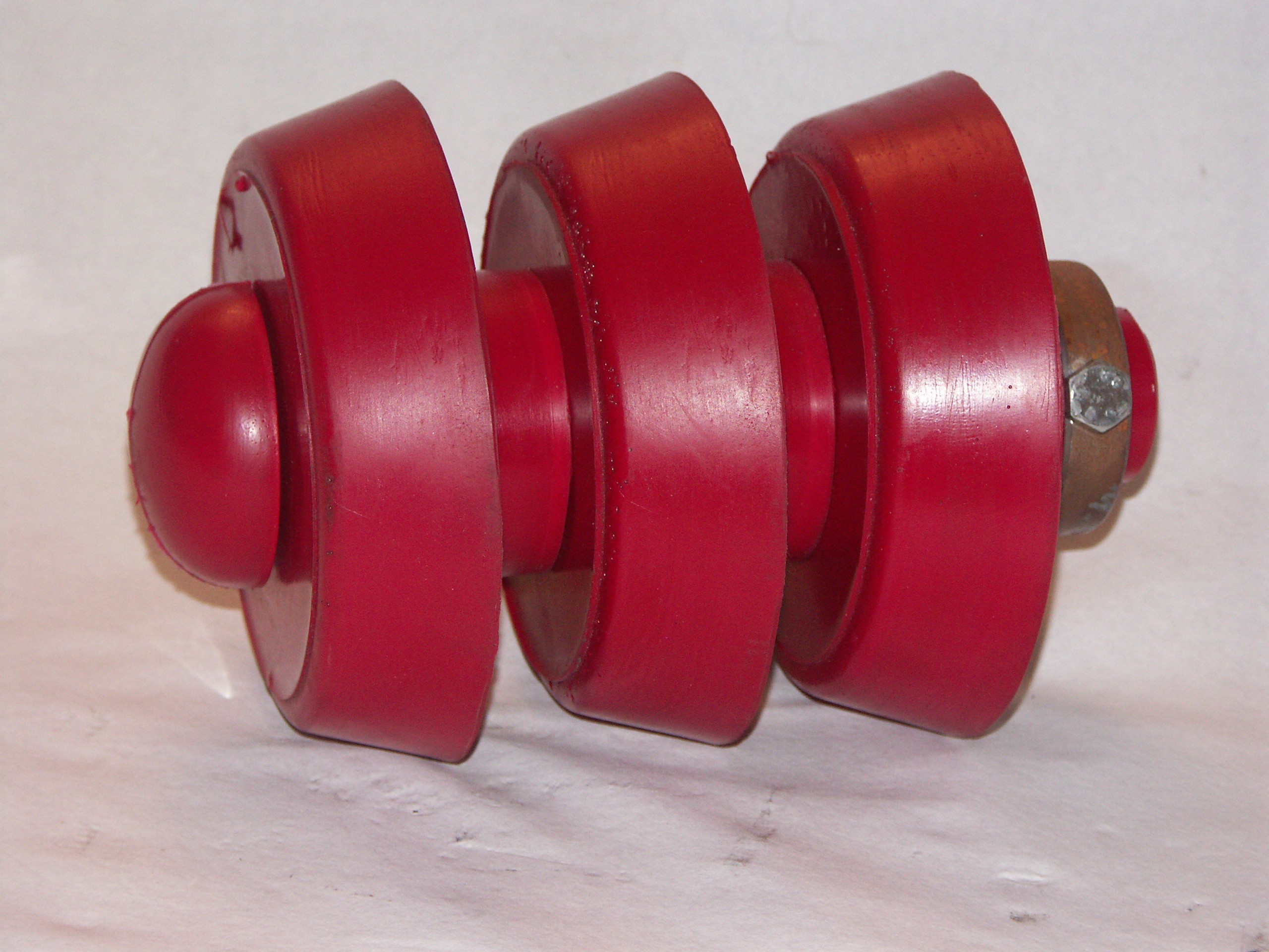 Manschettenmolch Manschettenmolch